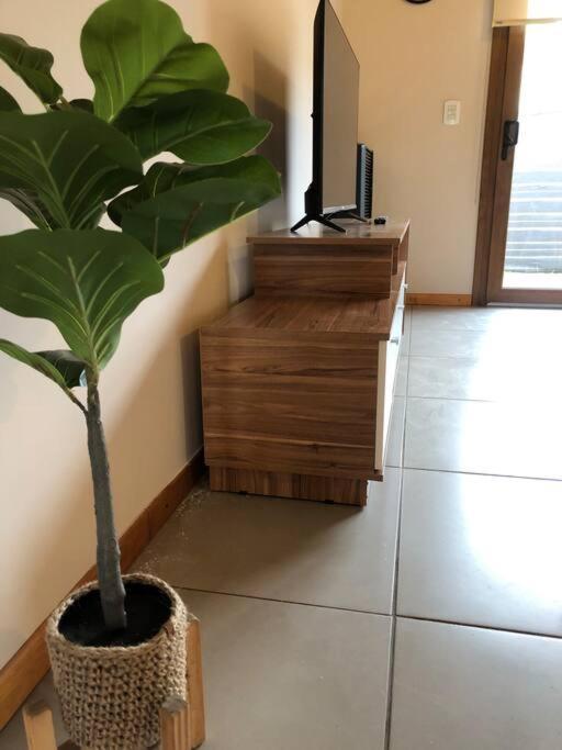 Apartment Del Paralelo *